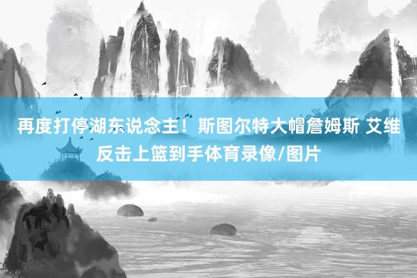 再度打停湖东说念主！斯图尔特大帽詹姆斯 艾维反击上篮到手体育录像/图片