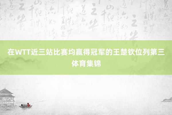 在WTT近三站比赛均赢得冠军的王楚钦位列第三体育集锦