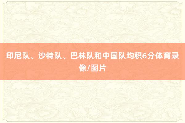 印尼队、沙特队、巴林队和中国队均积6分体育录像/图片