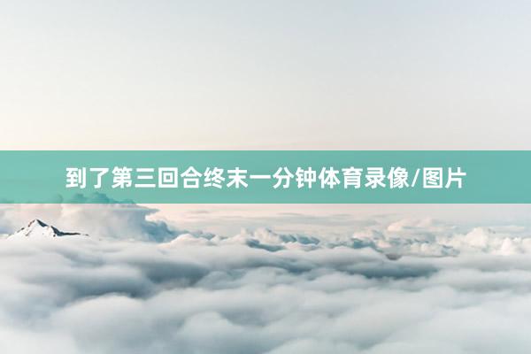 到了第三回合终末一分钟体育录像/图片