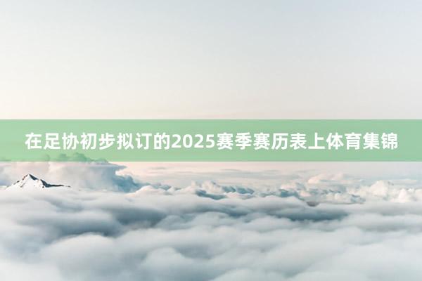 在足协初步拟订的2025赛季赛历表上体育集锦