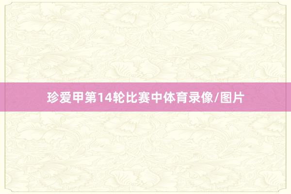 珍爱甲第14轮比赛中体育录像/图片