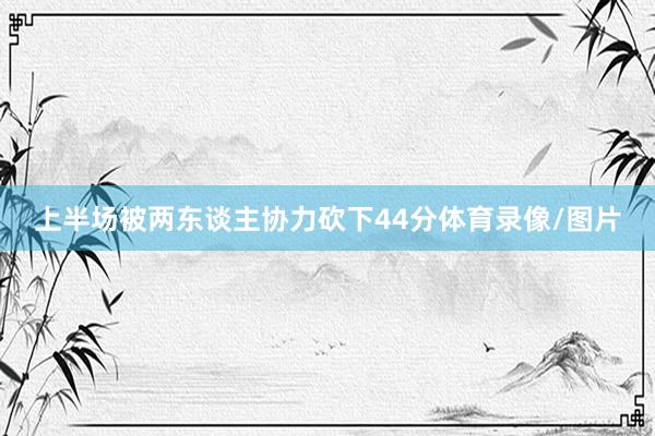 上半场被两东谈主协力砍下44分体育录像/图片