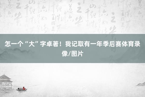 怎一个“大”字卓著！我记取有一年季后赛体育录像/图片