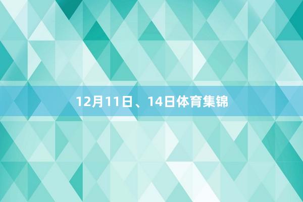 12月11日、14日体育集锦