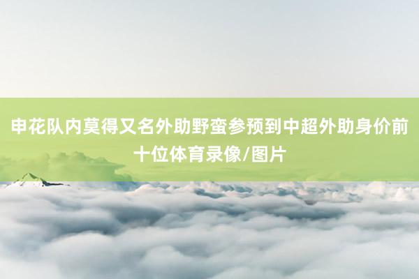 申花队内莫得又名外助野蛮参预到中超外助身价前十位体育录像/图片