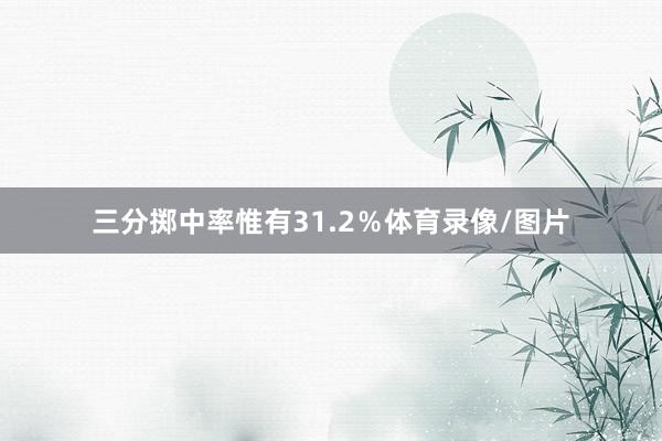 三分掷中率惟有31.2％体育录像/图片