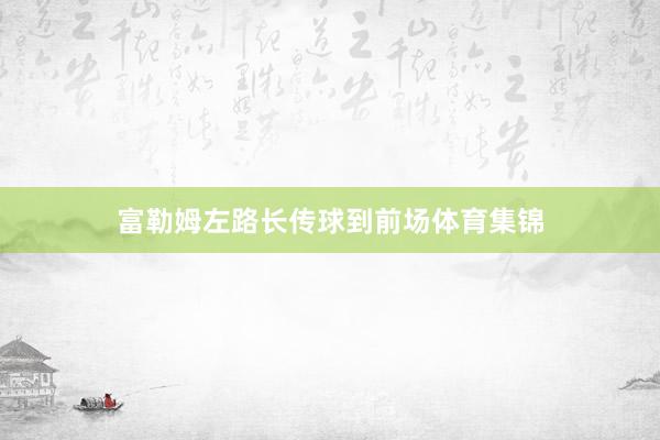富勒姆左路长传球到前场体育集锦