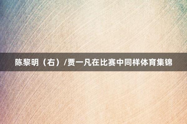 陈黎明（右）/贾一凡在比赛中同样体育集锦