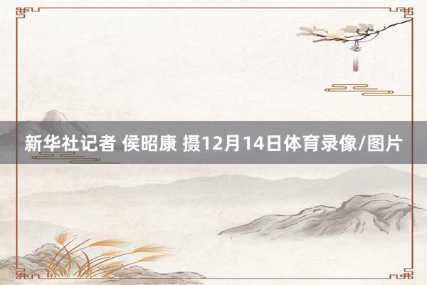 新华社记者 侯昭康 摄12月14日体育录像/图片