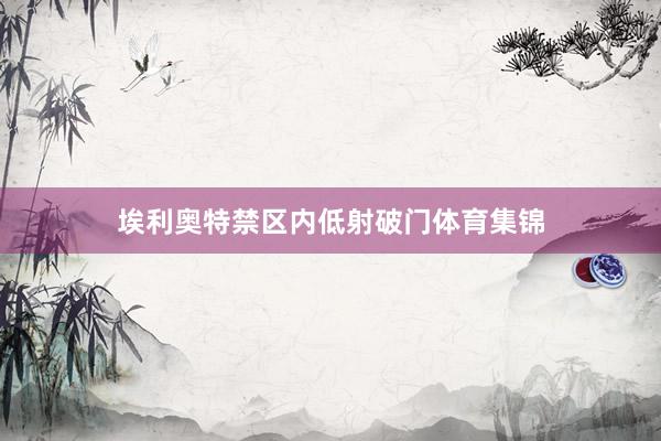 埃利奥特禁区内低射破门体育集锦