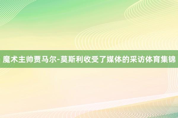 魔术主帅贾马尔-莫斯利收受了媒体的采访体育集锦