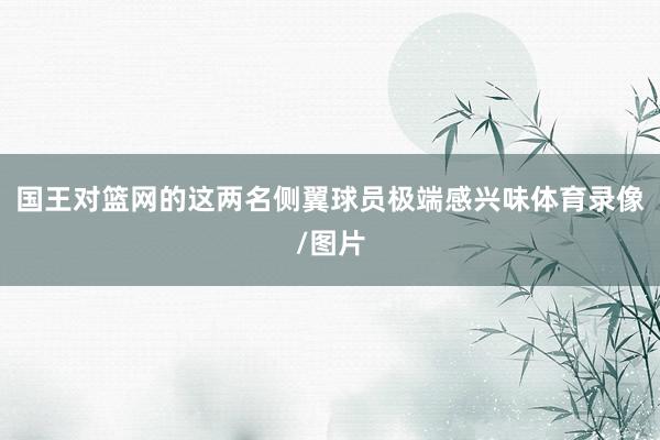国王对篮网的这两名侧翼球员极端感兴味体育录像/图片