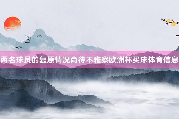 两名球员的复原情况尚待不雅察欧洲杯买球体育信息