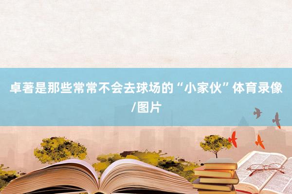 卓著是那些常常不会去球场的“小家伙”体育录像/图片