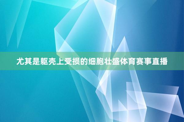 尤其是躯壳上受损的细胞壮盛体育赛事直播