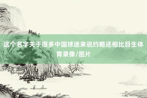 这个名字关于很多中国球迷来说约略还相比目生体育录像/图片