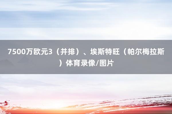 7500万欧元3（并排）、埃斯特旺（帕尔梅拉斯）体育录像/图片