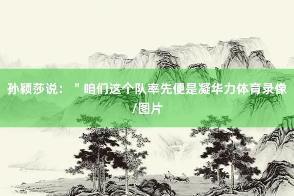 孙颖莎说：＂咱们这个队率先便是凝华力体育录像/图片