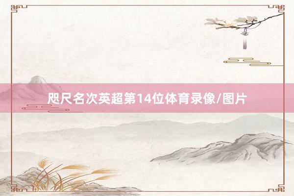 咫尺名次英超第14位体育录像/图片