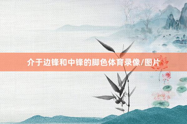 介于边锋和中锋的脚色体育录像/图片