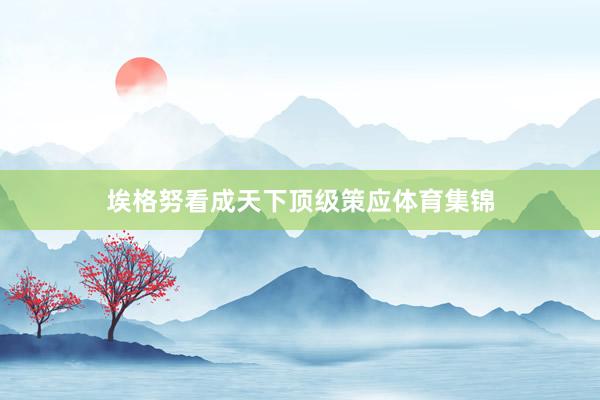 埃格努看成天下顶级策应体育集锦