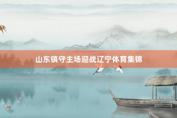 山东镇守主场迎战辽宁体育集锦