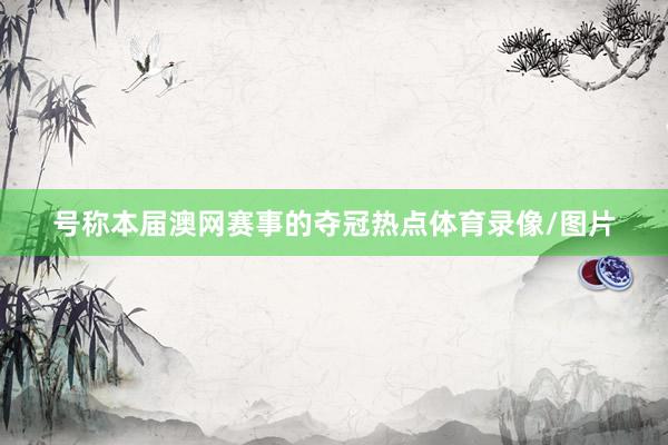 号称本届澳网赛事的夺冠热点体育录像/图片