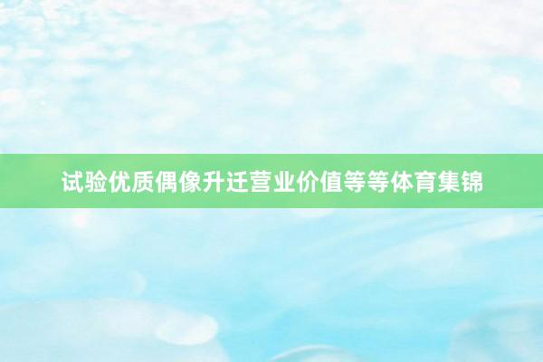 试验优质偶像升迁营业价值等等体育集锦