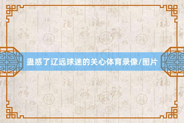 蛊惑了辽远球迷的关心体育录像/图片