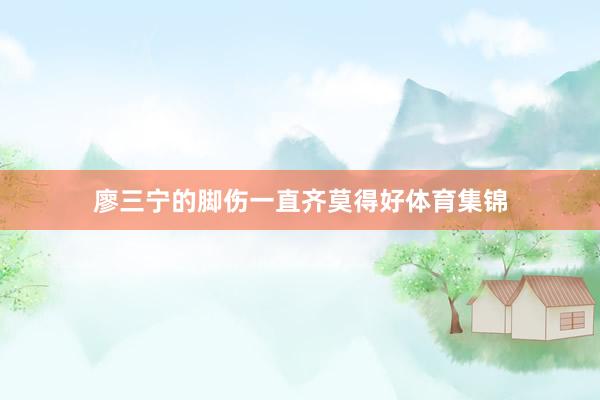 廖三宁的脚伤一直齐莫得好体育集锦