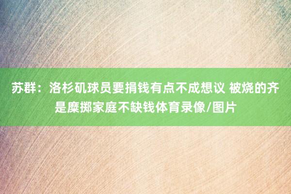 苏群：洛杉矶球员要捐钱有点不成想议 被烧的齐是糜掷家庭不缺钱体育录像/图片