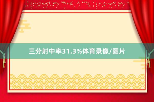三分射中率31.3%体育录像/图片