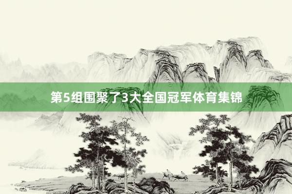 第5组围聚了3大全国冠军体育集锦