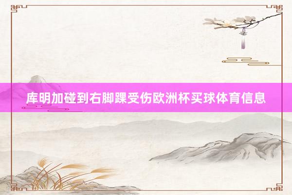 库明加碰到右脚踝受伤欧洲杯买球体育信息