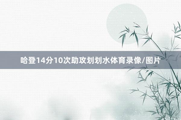 哈登14分10次助攻划划水体育录像/图片