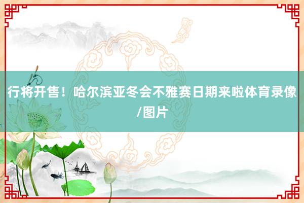 行将开售！哈尔滨亚冬会不雅赛日期来啦体育录像/图片