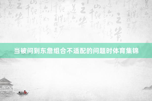 当被问到东詹组合不适配的问题时体育集锦