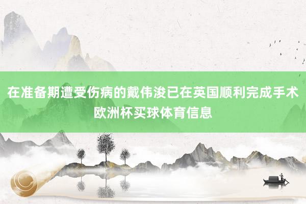 在准备期遭受伤病的戴伟浚已在英国顺利完成手术欧洲杯买球体育信息