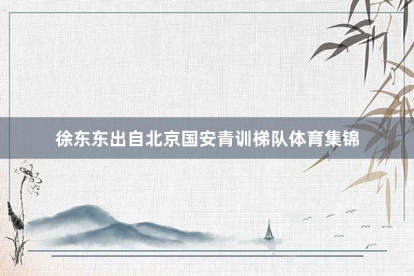 徐东东出自北京国安青训梯队体育集锦