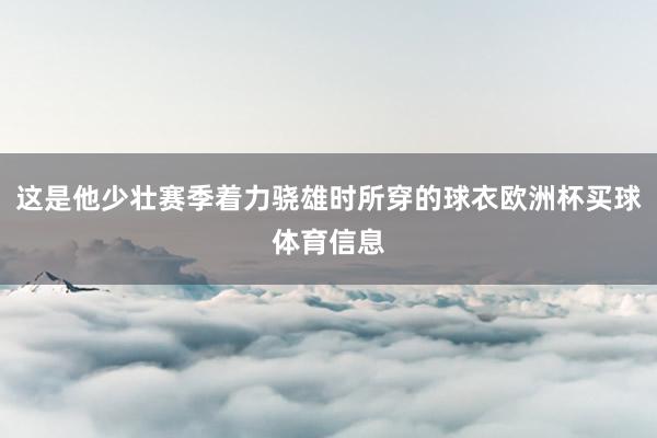 这是他少壮赛季着力骁雄时所穿的球衣欧洲杯买球体育信息