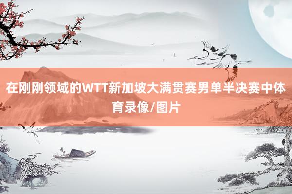 在刚刚领域的WTT新加坡大满贯赛男单半决赛中体育录像/图片