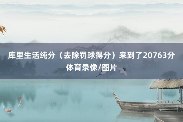 库里生活纯分（去除罚球得分）来到了20763分体育录像/图片