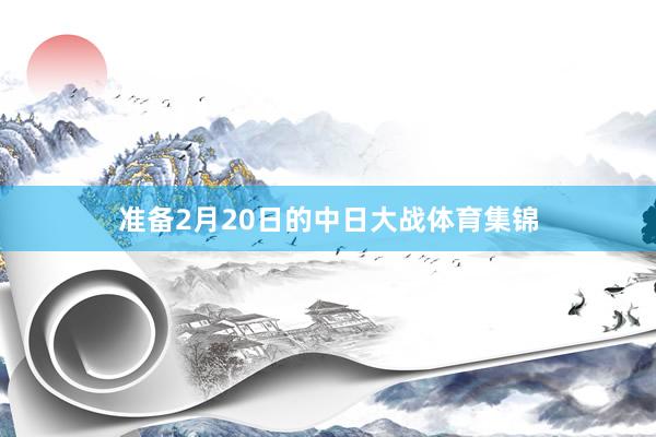 准备2月20日的中日大战体育集锦