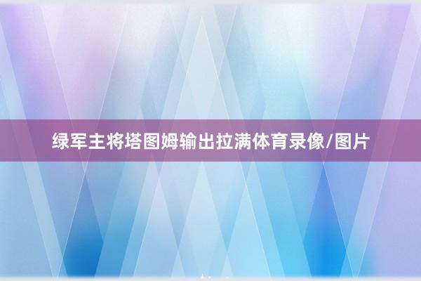 绿军主将塔图姆输出拉满体育录像/图片