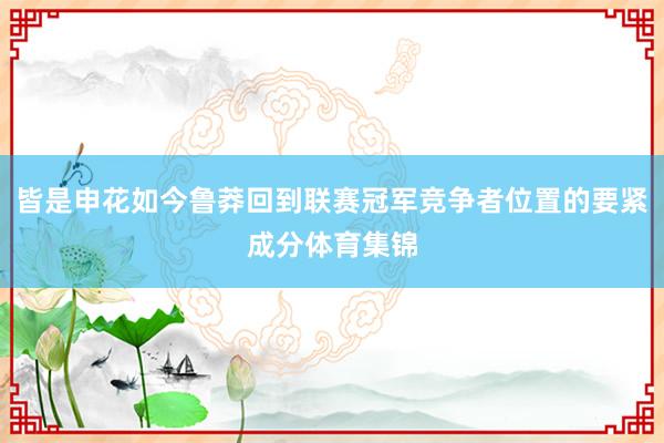 皆是申花如今鲁莽回到联赛冠军竞争者位置的要紧成分体育集锦