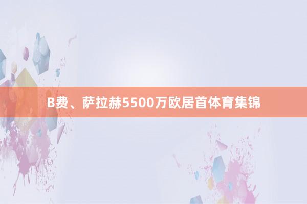 B费、萨拉赫5500万欧居首体育集锦