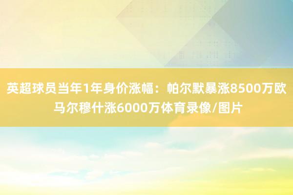 英超球员当年1年身价涨幅：帕尔默暴涨8500万欧 马尔穆什涨6000万体育录像/图片