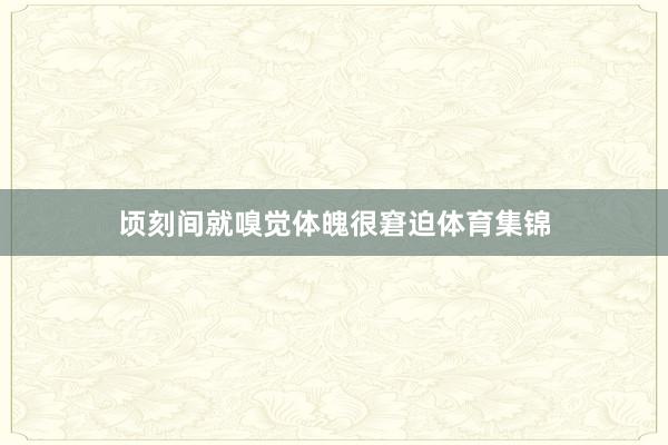 顷刻间就嗅觉体魄很窘迫体育集锦
