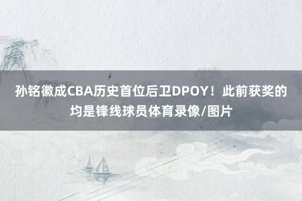 孙铭徽成CBA历史首位后卫DPOY！此前获奖的均是锋线球员体育录像/图片